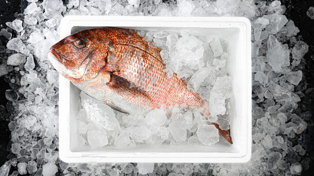 product_fresh-food_02