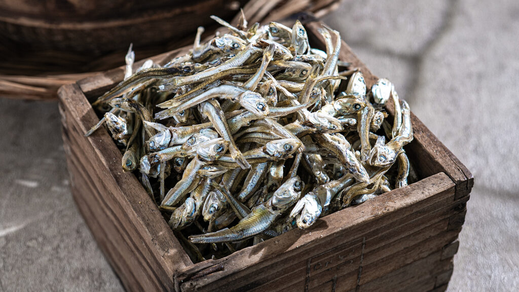 product_fresh-p-food_02